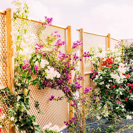 Sal Marina Deluxe Villa Lajares