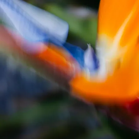 Vila Sal Marina Deluxe *