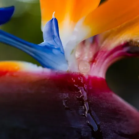 Sal Marina Deluxe Lajares