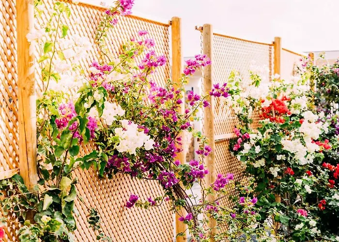 Sal Marina Deluxe Vila Lajares