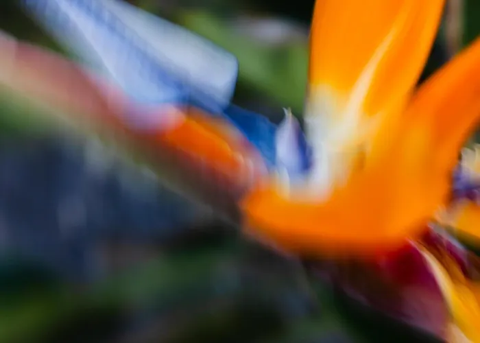 Vila Sal Marina Deluxe *