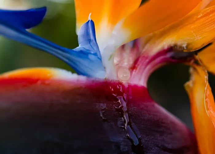 Sal Marina Deluxe Lajares